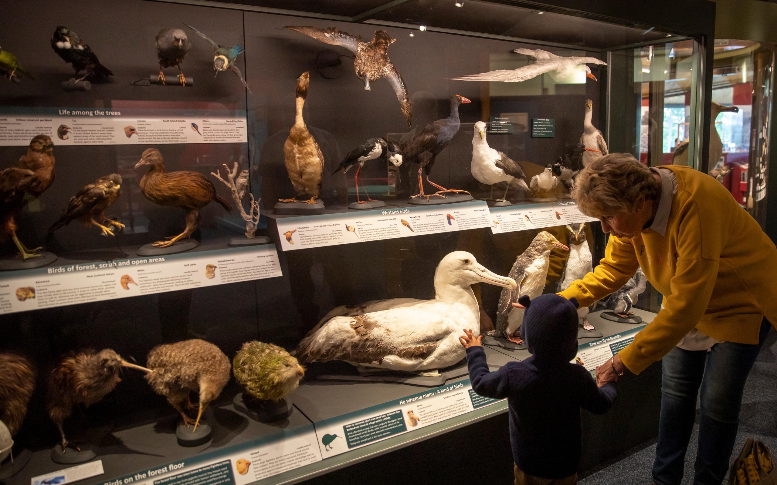 South Canterbury Museum